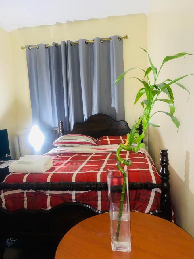 Cozy Comfort In Brooklyn New York Eksteriør bilde